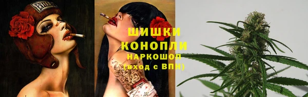 ГАЛЛЮЦИНОГЕННЫЕ ГРИБЫ Надым