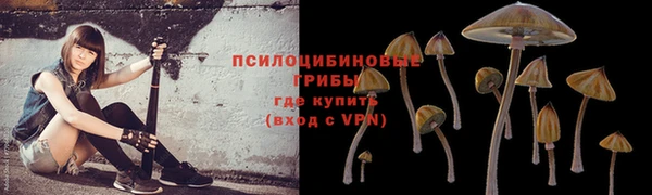 ГАЛЛЮЦИНОГЕННЫЕ ГРИБЫ Надым
