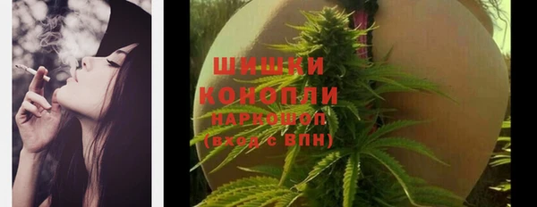 ГАЛЛЮЦИНОГЕННЫЕ ГРИБЫ Надым