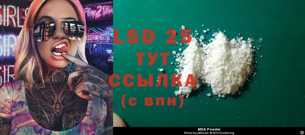 ГАЛЛЮЦИНОГЕННЫЕ ГРИБЫ Надым