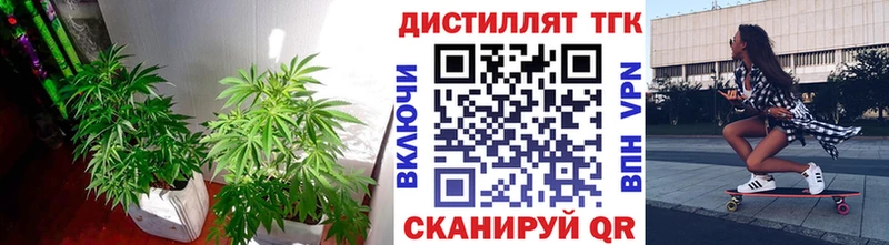 Дистиллят ТГК концентрат  Купить закладки  Родники 