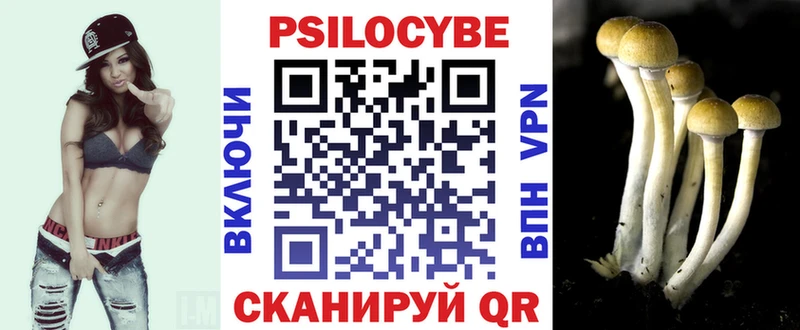 Купить  Родники  Псилоцибиновые грибы прущие грибы 
