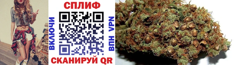 Марихуана семена  Купить закладки  Родники 